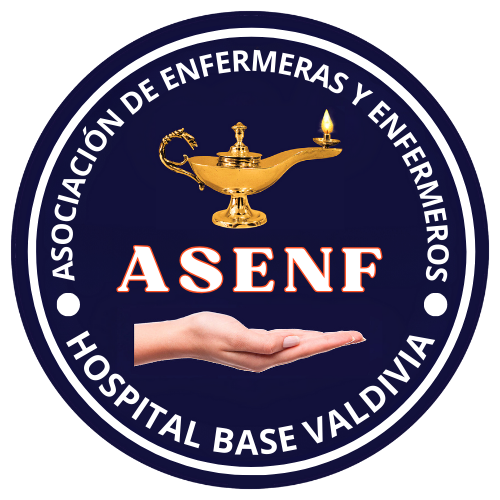 asenfvaldivia.com